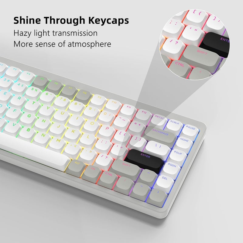 Womier Low Profile Keycaps - Shine Through Keycaps 60 65 75 100 Percent, Keyboard Key caps PBT Full Size for Cherry Gateron MX Switches Mechanical Keyboard, Grey/White - Image 4